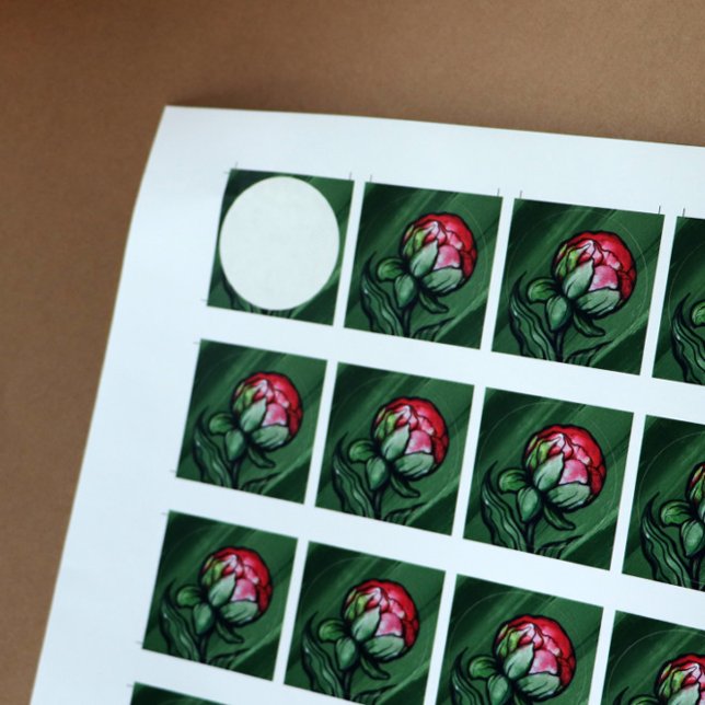 Sticker Rond Peony Flower Peoners Gardener art rose (Créateur téléchargé)