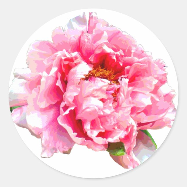 STICKER ROND PEONY ROSE (Devant)