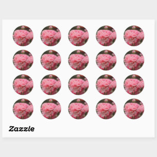 Sticker Rond Peony Rose Ranunculus Closeup