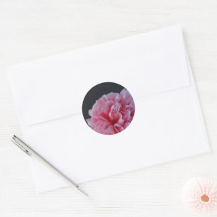 Sticker Rond Peony sur arrière - plan sombre