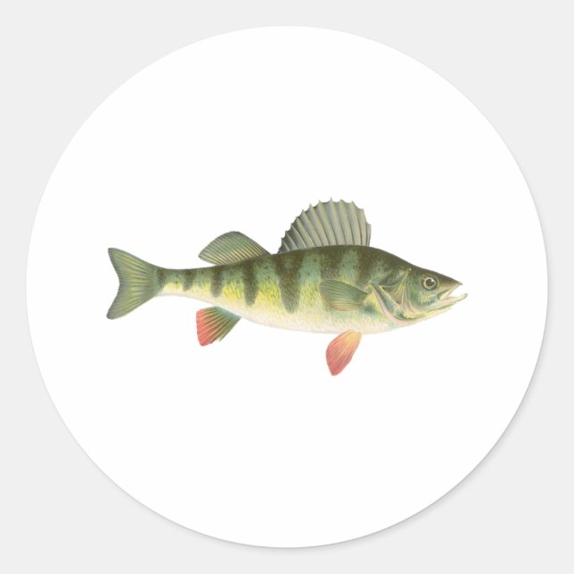 Sticker Rond Perche jaune (Devant)