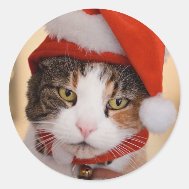Sticker Rond Père Noël Kitty | Noël Pookie le chat (Devant)
