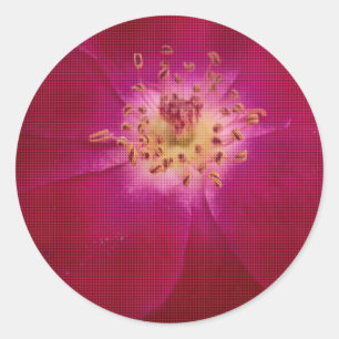 Sticker Rond Perfection pétale : À damiers Rose Art Motif pétal