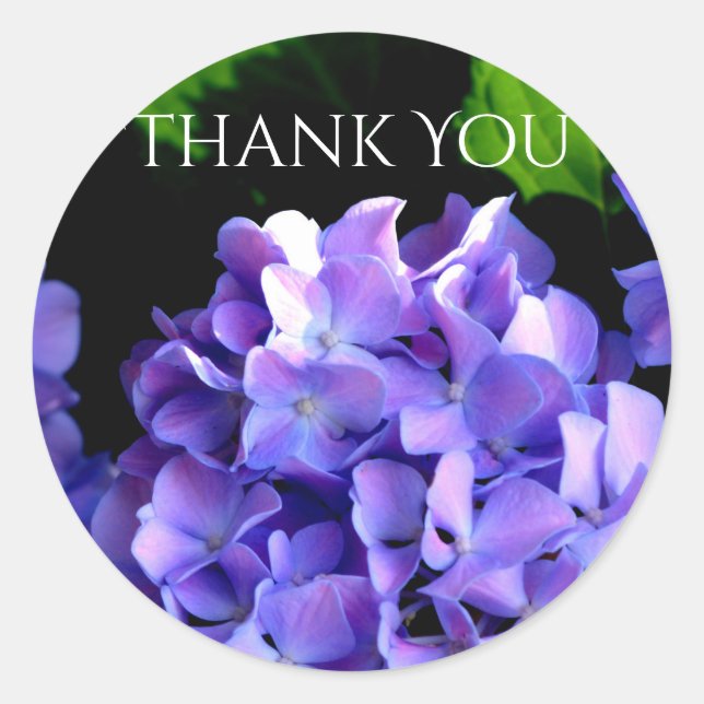 Sticker Rond Périwinkel hydrangeas violet bleu fleur floral (Devant)