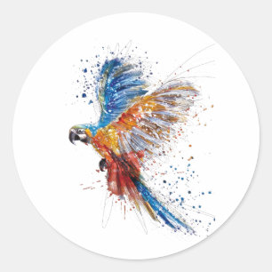 Sticker Rond Perroquet aquarelle