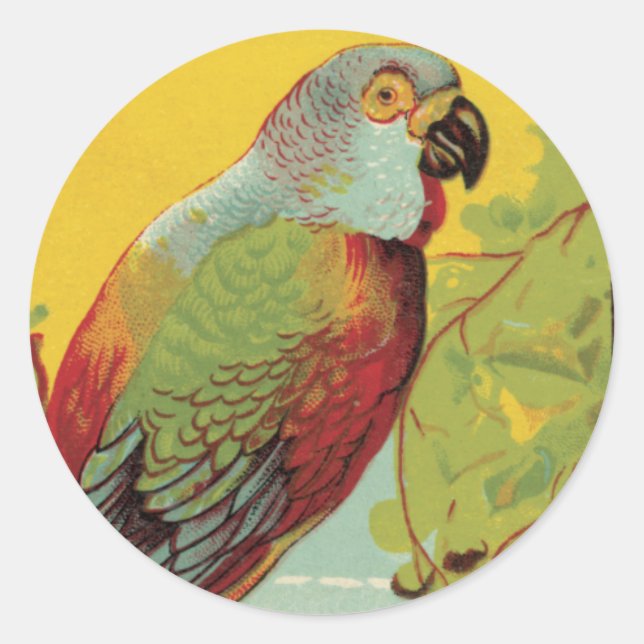 Sticker Rond Perroquet avec le verre souillé (Devant)