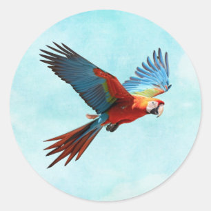 Sticker Rond Perroquet en vol, généré par l'IA,