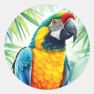 Sticker Rond Perroquet vibrant avec plumes détaillées