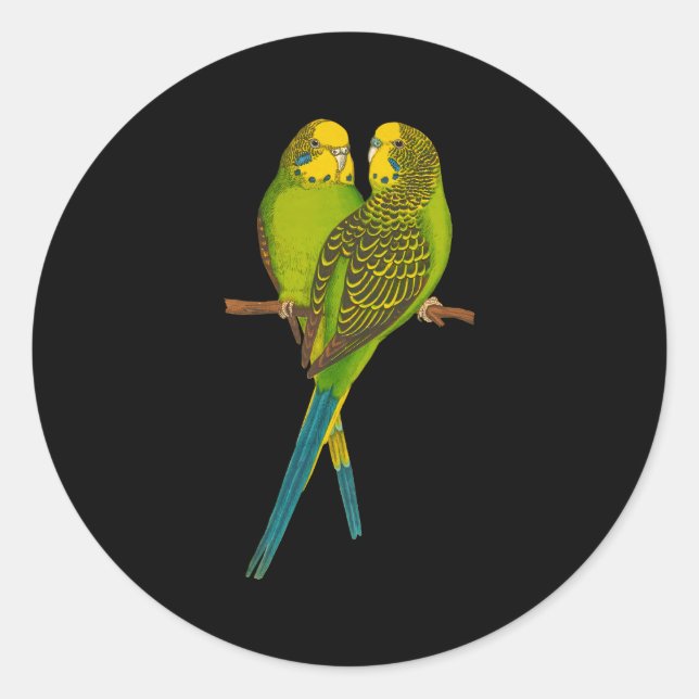 Sticker Rond Perruques vertes de Perruques Budgie Bird (Devant)