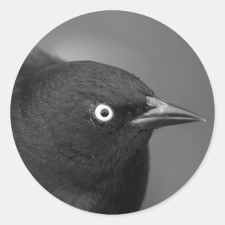 Sticker Rond Personnage d'Alfred Hitchcock