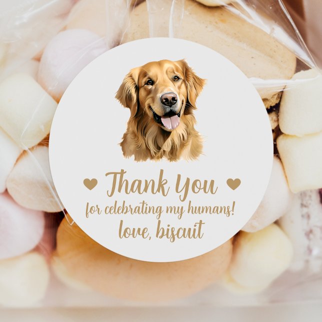 Sticker Rond Personnalisé Golden Retriever Chien Mariage Favori (Créateur téléchargé)