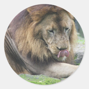 Sticker Rond Personnaliser