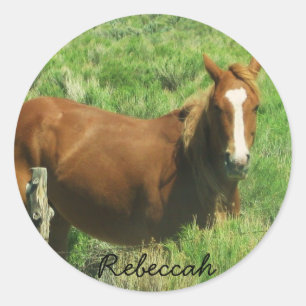 Sticker Rond Personnaliser le cheval de nom