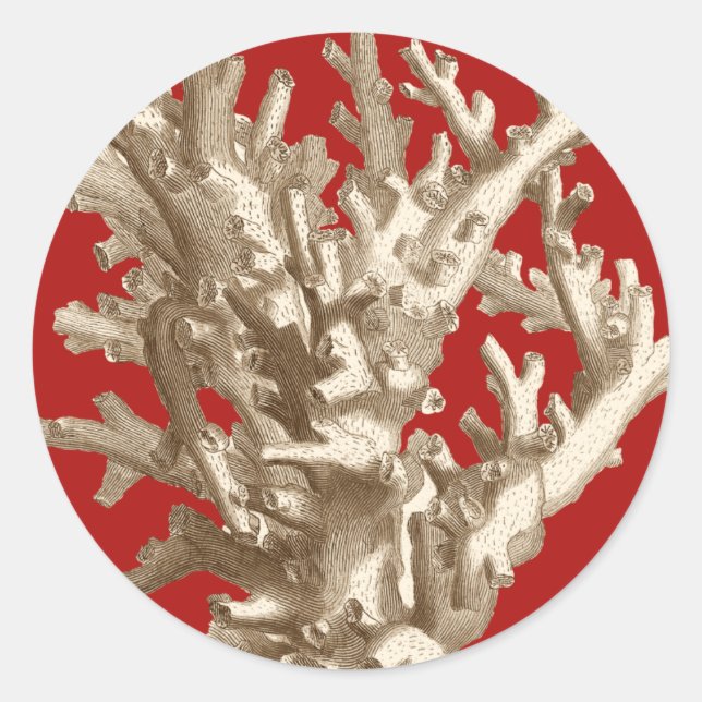 Sticker Rond Petit corail en rouge (Devant)
