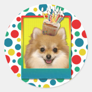 Sticker Rond Petit gâteau d'anniversaire - Pomeranian