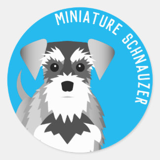 Sticker Rond Petit Schnauzer mignon chien caricature