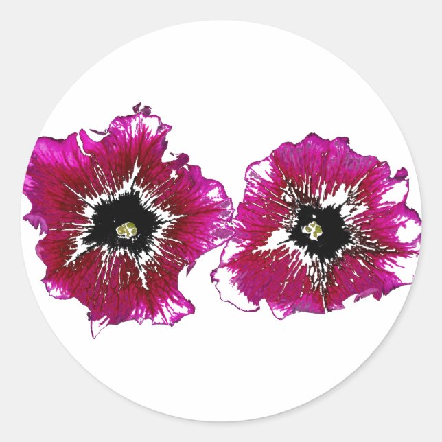 Sticker Rond Petunias d'été (Devant)