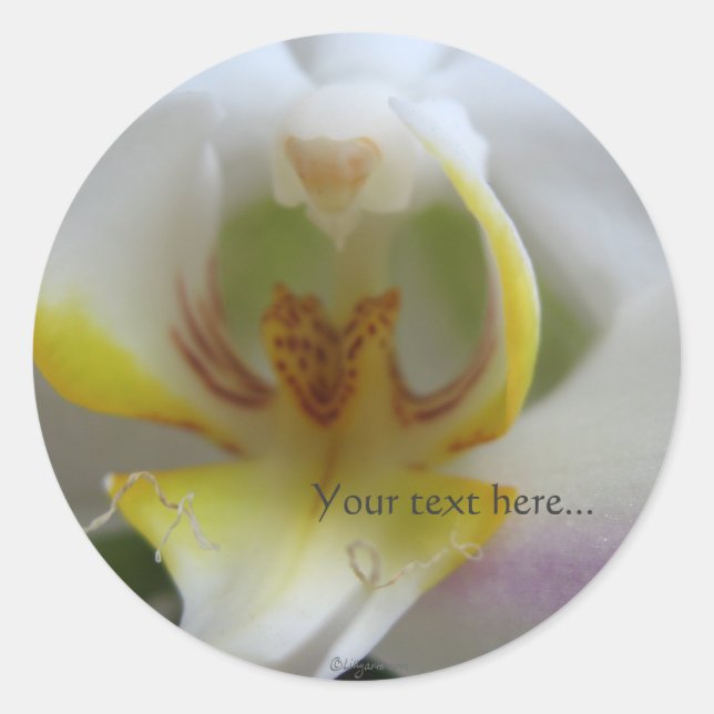 Sticker Rond Phalaenopsis Faire-part de mariage blanches magiqu (Devant)