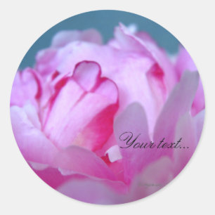 Sticker Rond Phoques de Faire-part de mariage à fleurs de pivoi