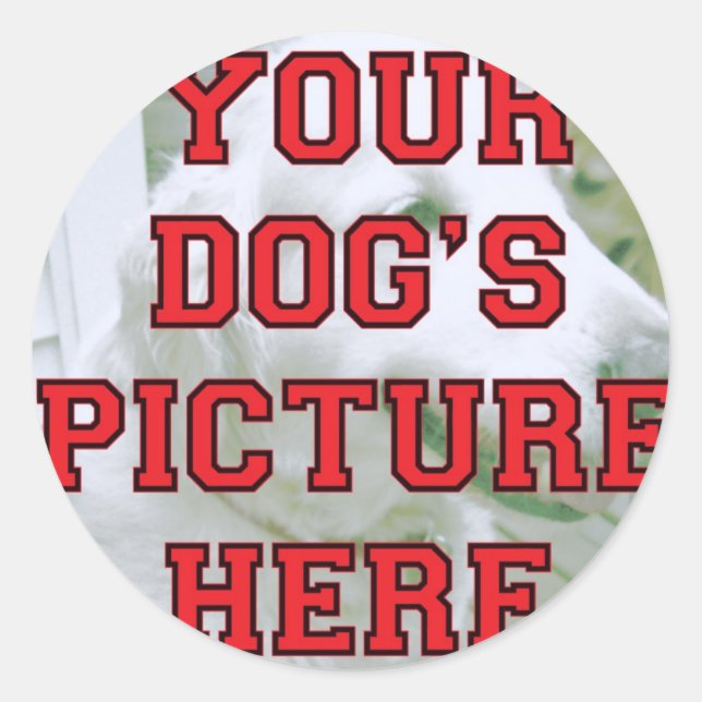 Sticker Rond Photo customisée de votre chien (Devant)