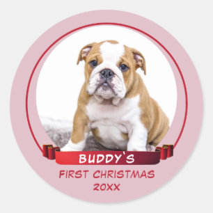 Sticker Rond Photo Cute Pink Puppy 1st Christmas Dog