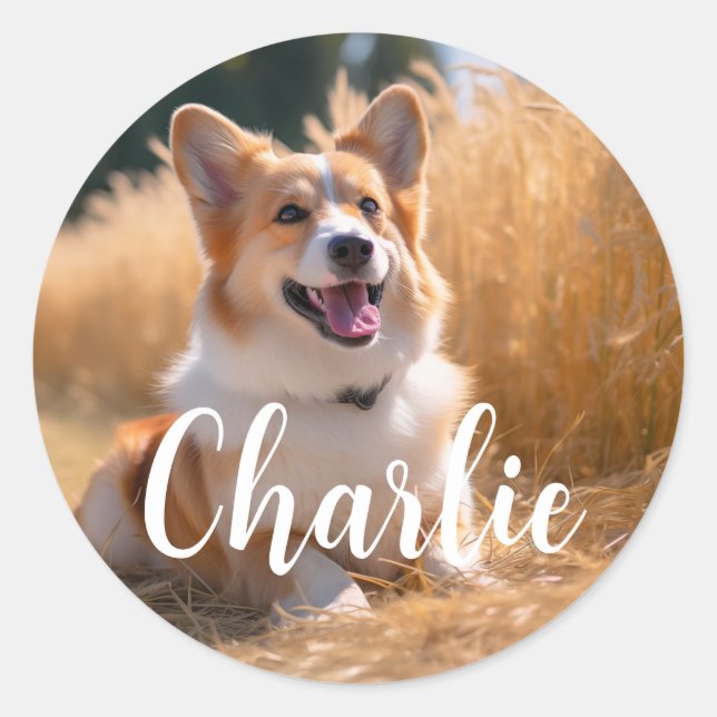 Sticker Rond Photo de compagnie personnalisée (Devant)