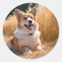 Photo de compagnie personnalisée