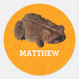 Sticker Rond Photo de Crapaud Américain Orange Personnalisé