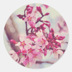 Sticker Rond Photo de fleurs d'arbre rose