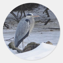 Photo Great Blue Heron Snow