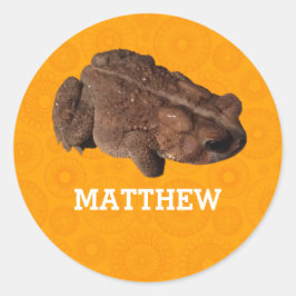 Sticker Rond Photo Orange American Toad personnalisée