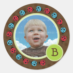 Sticker Rond PHOTO SEAL :: coccinelle cercle 1