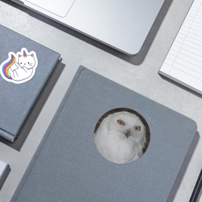 Sticker Rond Photo White Snowy Owl (In Situ)