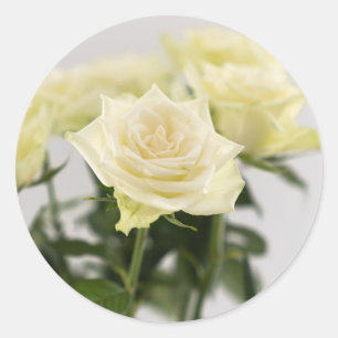 Sticker Rond Photographie de fleurs de roses blanches élégantes