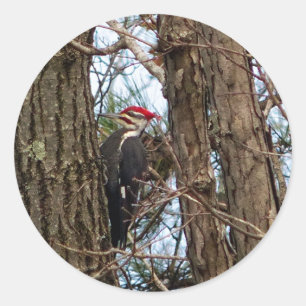 Sticker Rond Pic pilé