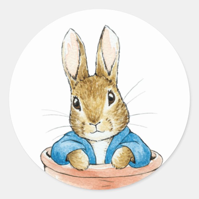 Sticker Rond Pierre le lapin assis dans un pot (Devant)