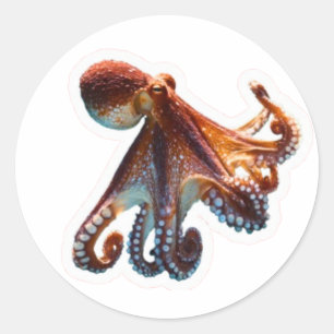 Sticker Rond Pieuvre de l'Océan Mystique - Créature Artistique 