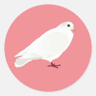Sticker Rond Pigeon blanc (colombe)