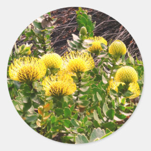 Sticker Rond Pincushion de hochet jaune Oiseau #1Stickers Class
