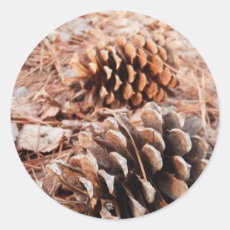 Sticker Rond Pinecones
