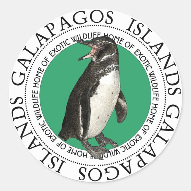Sticker Rond Pingouin des îles Galapagos (Devant)