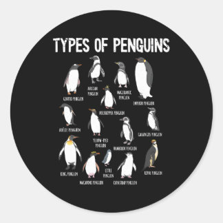 Sticker Rond Pingouins Du Monde Types De Pingouins