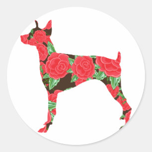 Sticker Rond Pinscher de dobermann