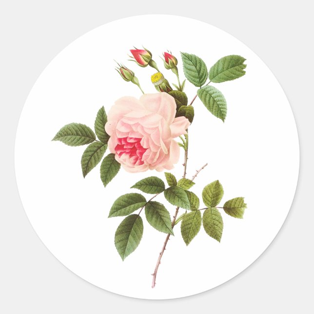 Sticker Rond PixDezine roses victoriens vintages/redoute (Devant)