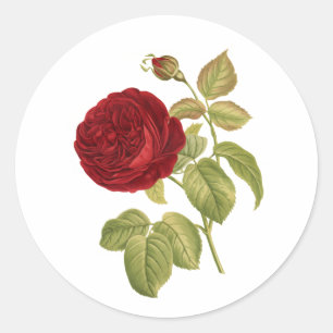 Sticker Rond PixDezine rouge victorien vintage rose/redoute