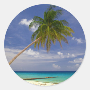 Sticker Rond Plage de sable blanc de palmier tropical