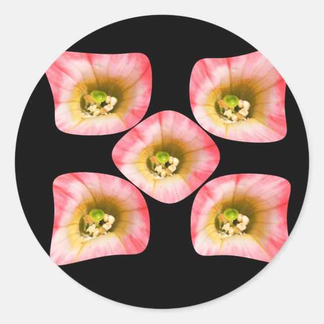 Sticker Rond Plaisir Floral (Devant)