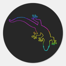 Plan multicolore GECKO