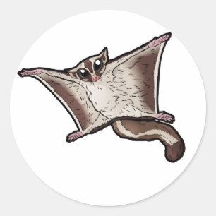 Sticker Rond Planeur de sucre