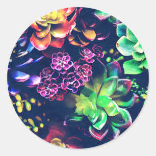 Sticker Rond Plante coloré